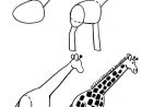 Girafe | Giraffe Dessin, Apprendre Le Dessin serapportantà Dessin Girafe Simple
