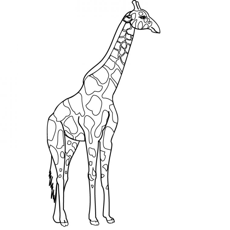 Giraffe Coloring Pages To Print | Fcp destiné Dessin Girafe Simple