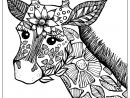 Giraffe Head With Flowers - Giraffes Adult Coloring Pages tout Dessin Girafe Simple