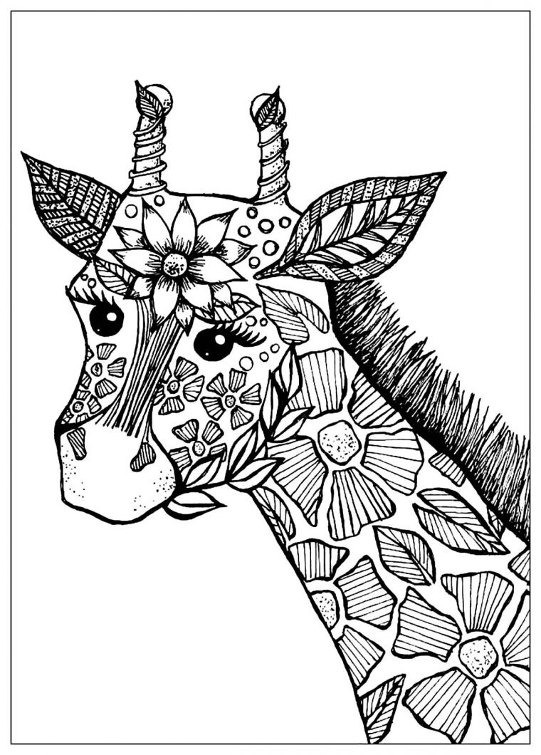 Giraffe Head With Flowers – Giraffes Adult Coloring Pages tout Dessin Girafe Simple