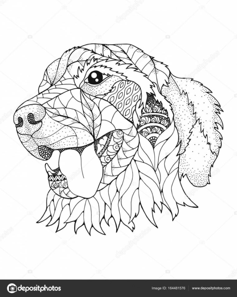 Golden Retriever Hond In Zentangle En Stipple Stijl avec Coloriage Labrador A Imprimer