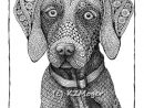 Grande Race Chien Portraits-Plus Grandes Par à Coloriage Labrador A Imprimer
