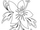 Hawaii Flower Outline Pin Hibiscus Coloring Pages 11170 Hd dedans Coloriage Hawaienne
