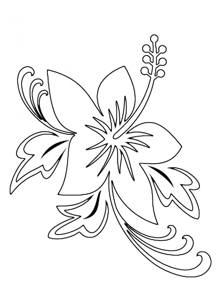 Hawaii Flower Outline Pin Hibiscus Coloring Pages 11170 Hd dedans Coloriage Hawaienne