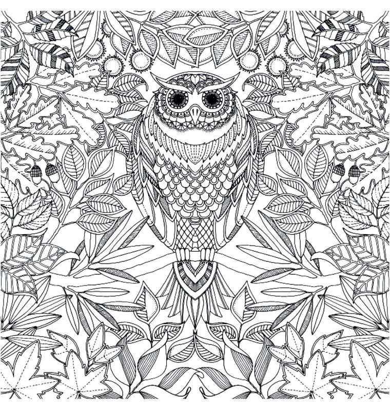 Hibou | Animaux - Coloriages Difficiles Pour Adultes | Justcolor avec Coloriages Pour Adultes