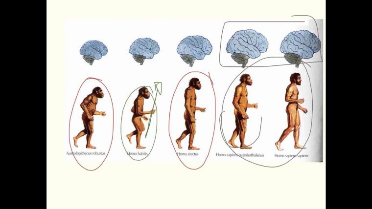 Histoire Ce2: La Préhistoire – pour Dessin Préhistoire