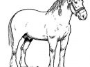 Horse Race Champion In Horses Coloring Page - Netart dedans Dessin De Cheval Au Galop Gratuit