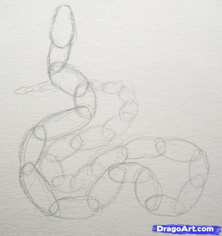 How To Draw A Realistic Snake, Draw Real Snake, Step By concernant Dessiner Poc Dans Zou