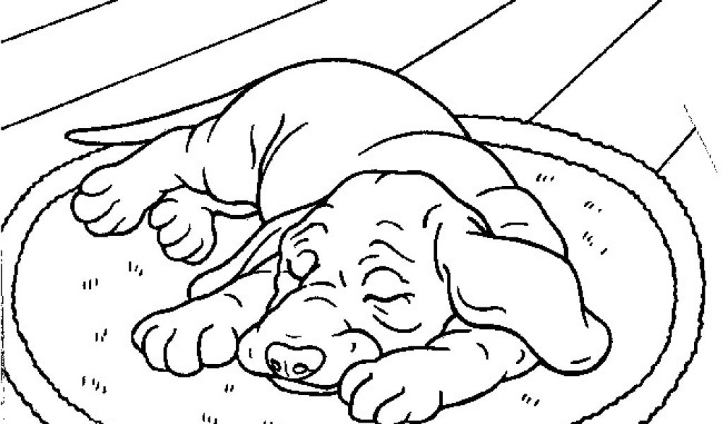 Hugo L Escargot Coloriage Gratuit A Imprimer Animaux Hugo concernant