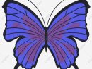 Idées Pour Petit Papillon Bleu Dessin - Random Spirit concernant Dessin Petit Papillon