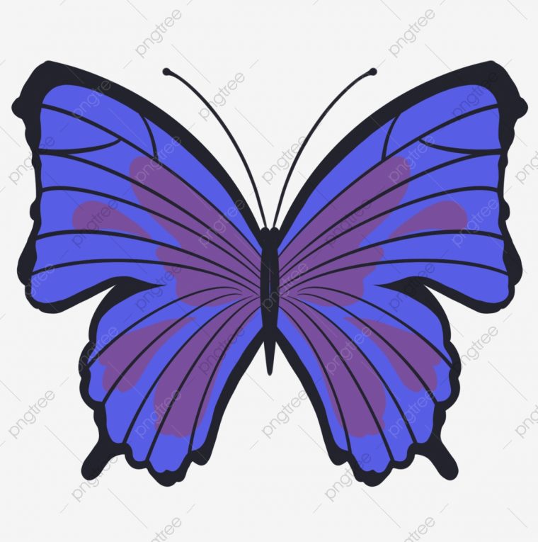Idées Pour Petit Papillon Bleu Dessin – Random Spirit concernant Dessin Petit Papillon