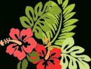 Image Gratuite Sur Pixabay - Hibiscus, Fleur, Feuilles tout Coloriage Hawaienne