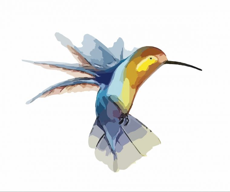 Images D Oiseaux Gratuites – Greatestcoloringbook intérieur Gratuites Oiseaux