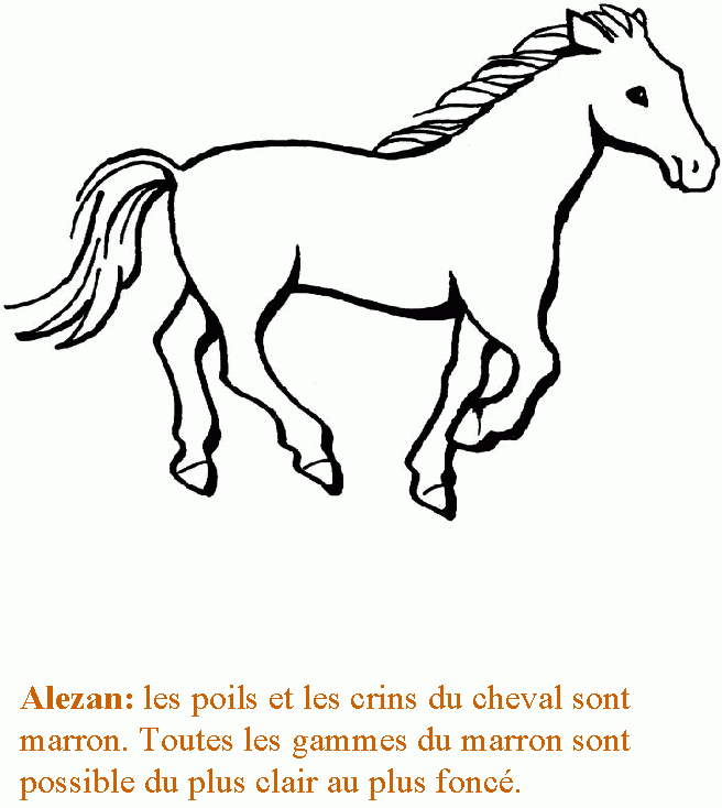 Imprimer La Page 7 Pour Le Livre Sur Le Cheval – Tête À destiné Photo De Chevaux A Imprimer