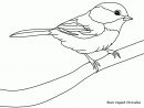 Index Of /Albums/Photos/Coloriage-Oiseaux | Oiseaux À encequiconcerne Coloriage Oiseaux A Imprimer