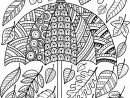J'Ai Aimer La Pluie D'Automne. Livre De Coloriage Pour Adulte — Image Vectorielle Natasha-Tpr intérieur Coloriages Pour Adultes