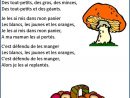 J'Ai Ramassé Des Champignons - Recherche Google (Avec serapportantà Comptine Parole Laine Des Moutons