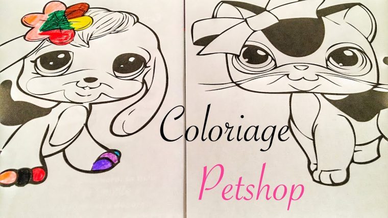 Je Fais Un Coloriage Petshop 🌈 Lps Colors – à Imprimer Coloriage