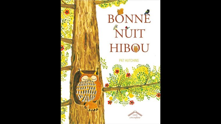 Je Te Lis L'Histoire "Bonne Nuit Hibou" & Chanson – tout Coucou Hibou Chanson