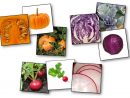 Jeu De Mémory Des Fruits Et Légumes : Détails Et dedans Jeu De Dedans