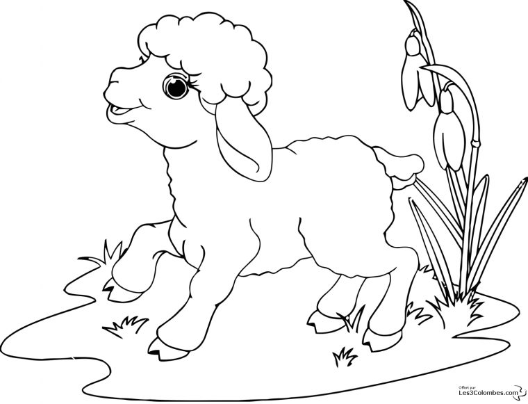 Jeux De Coloriage À Dessiner De Mouton Gratuit destiné Coloriage Mouton À Imprimer
