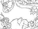 Jungle Book Coloring Pages – Coloring Pages Disney intérieur Coloriage Animaux De La Jungle Gratuit
