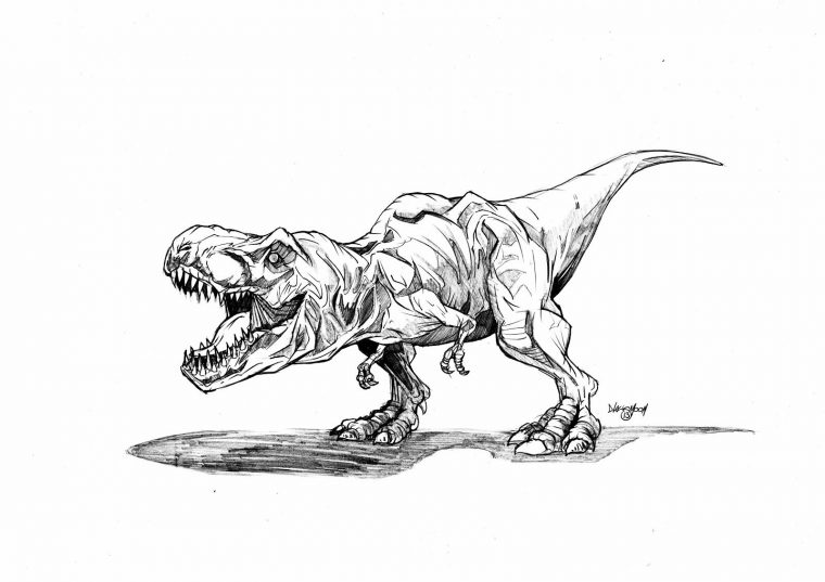 Jurassic Park Trex Colouring Pages | Jurassic Park Tattoo tout Coloriage Dinosaure Raptor