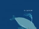 La Boîte À Bonbecs: Racontines &quot;Poisson D'Avril intérieur Comptine La Baleine Qui Tourne Qui Vire