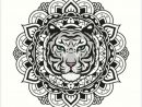Láminas Artísticas «Tigre Blanco De Mandala» De à Mandalas De Tigres