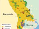 Langues En Moldavie - Wikiwand pour Wikip?Dia En Anglais