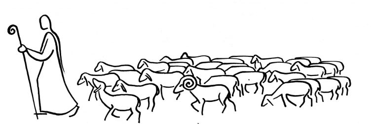 Le Bon Berger Et La Porte Des Brebis destiné Dessin De Brebis Le Bon Berger Et La Porte Des Brebis destiné Dessin De Brebis