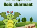 Le Dragon Du Bois Charmant | Jeux Chevalier, Chasse Au tout Chasse Au Tresors Theme Des Pirates