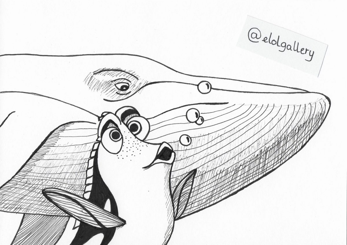 Le Monde De Dory Finding Dory Baleine Whale Inktober dedans Coloriage
