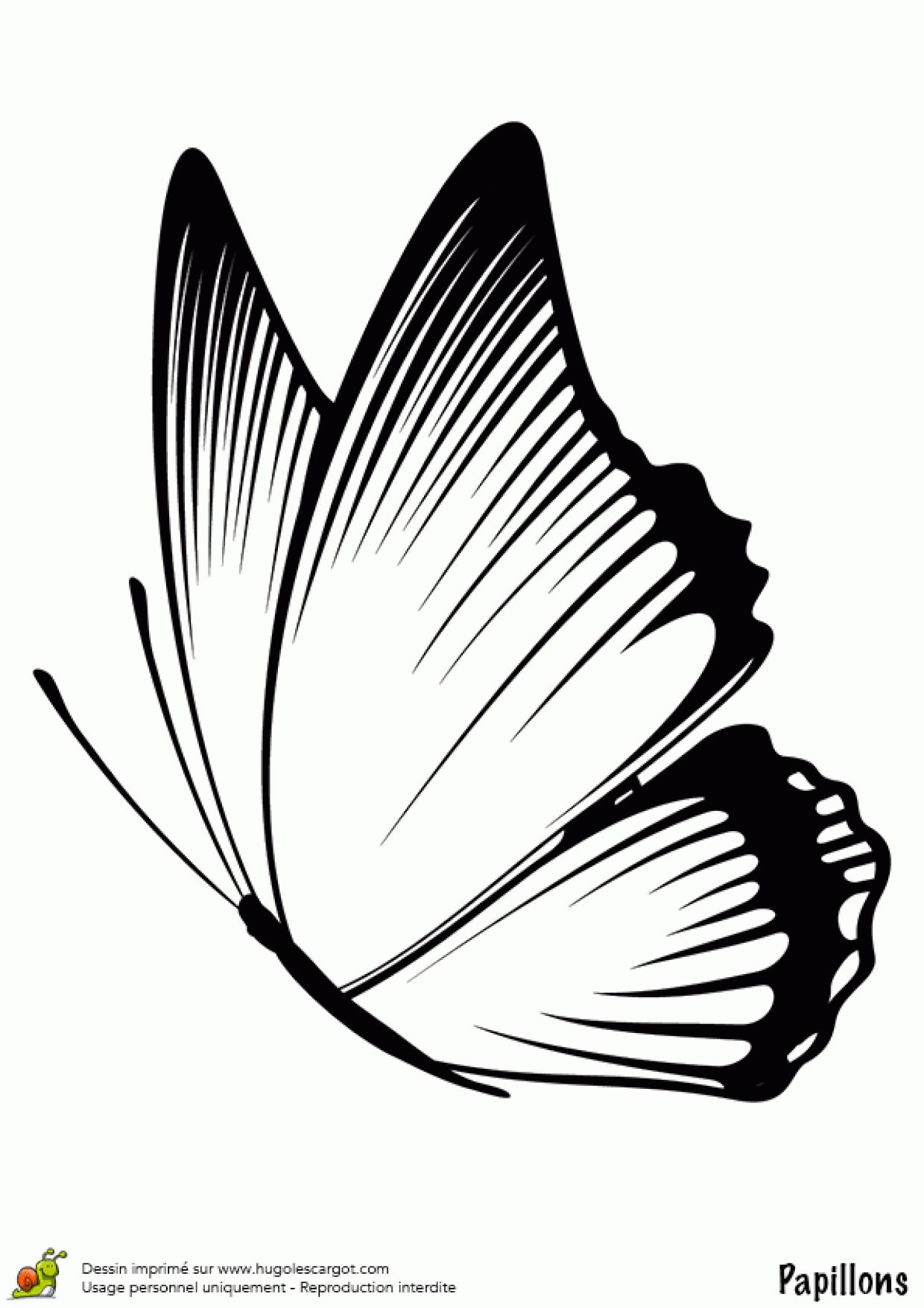 Le Plus Récent Pour Papillon Dessin Facile Qui Vole destiné Papillon Dessin Facile