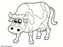 Les 12 Meilleures Images Du Tableau Coloriages Sur intérieur Coloriage D Animaux De Vache
