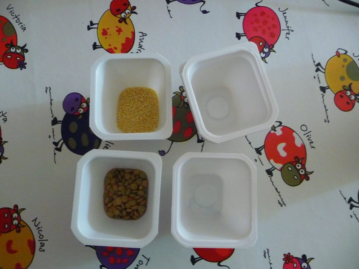 Les Maracas - 1Ère Partie avec Fabrication Maracas Maternelle