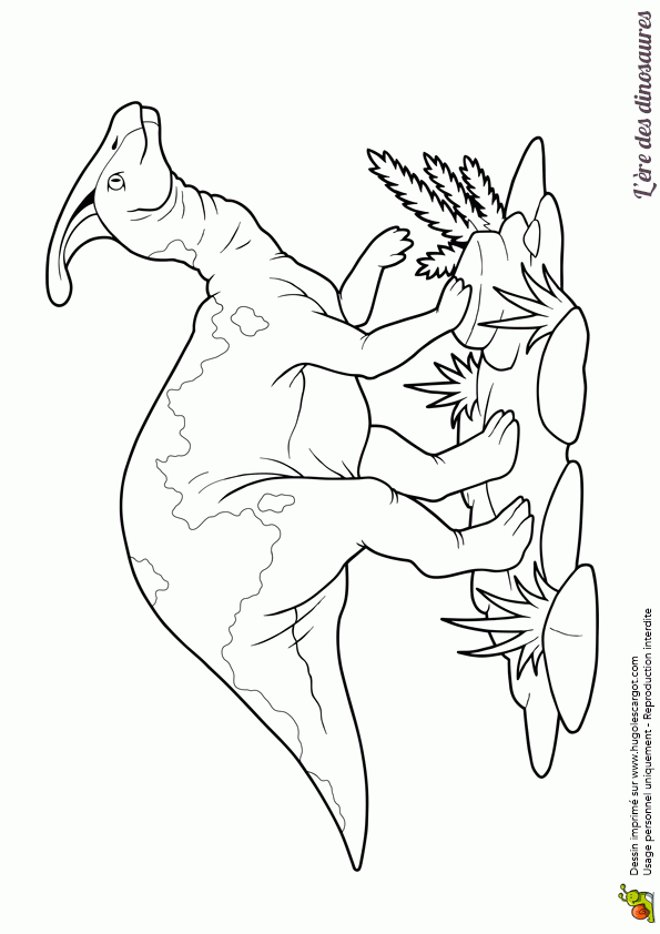 L’illustre Dinosaure Parasaurolophus Dans Un Dessin À intérieur Coloriage Dinosaure