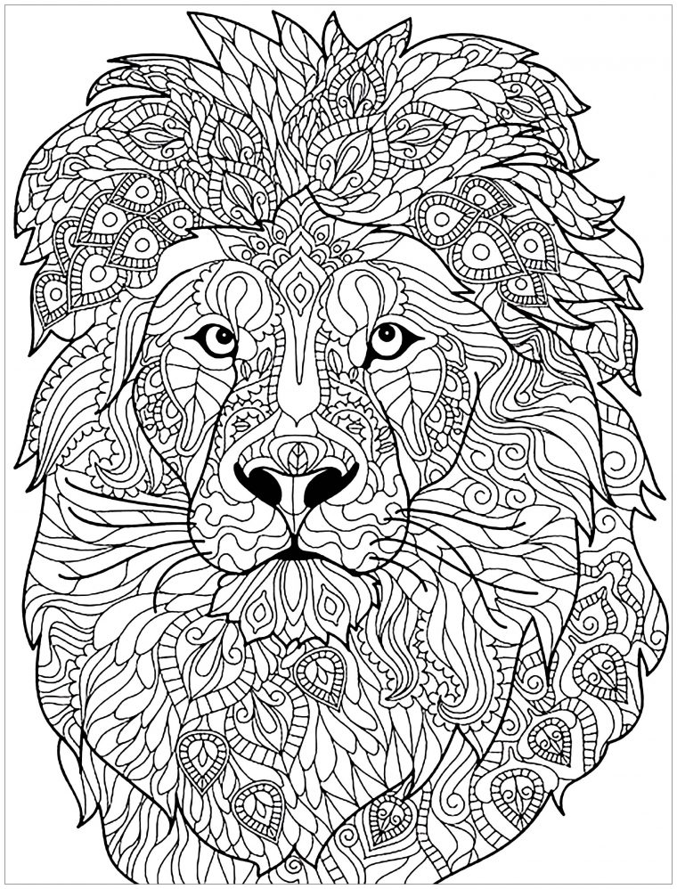 Lion Complex Patterns – Lions Adult Coloring Pages à Coloriage Pour Adulte
