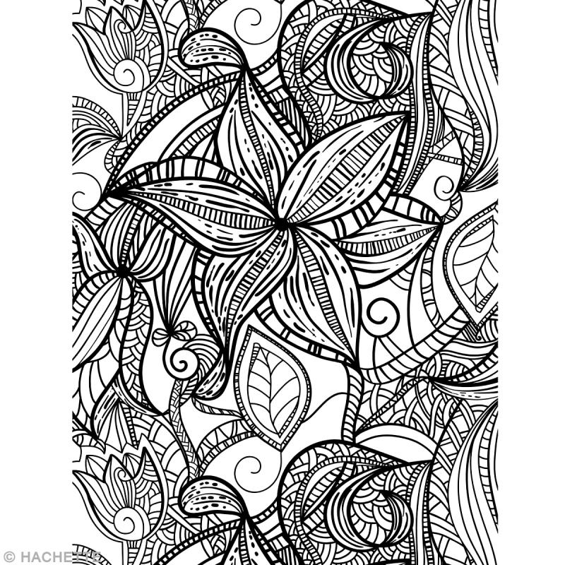 Livre Coloriage Adulte Anti-Stress - A4 - 100 Coloriages intérieur Coloriage Adulte