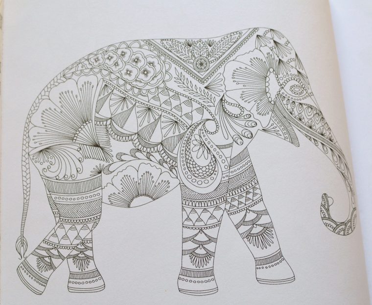 Livre Coloriage Adulte | Light & Smell concernant Coloriage Adulte