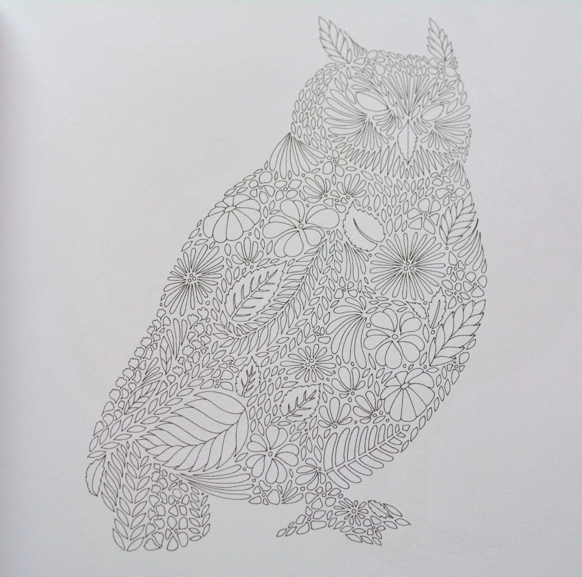 Livre De Coloriage Pour Adultes: Animaux Fantastiques serapportantà Des