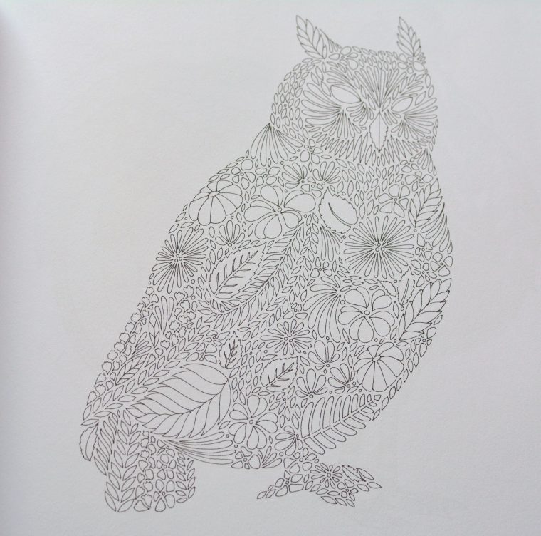 Livre De Coloriage Pour Adultes: Animaux Fantastiques serapportantà Des Coloriages Livre De Coloriage Pour Adultes: Animaux Fantastiques serapportantà Des Coloriages