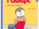 Livre T'Choupi Est En Colère Pour Enfant De 2 Ans À 4 Ans avec T&amp;#039;Choupi ? L&amp;#039;?Cole