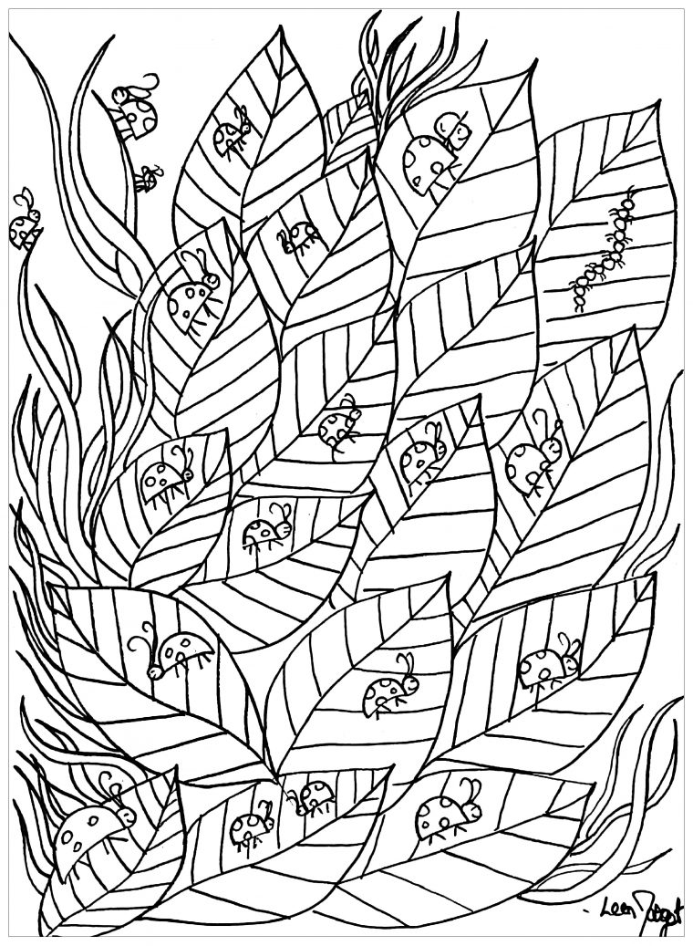 Luxe Image De Coccinelle A Colorier – Mademoiselleosaki encequiconcerne Coccinelle À Colorier