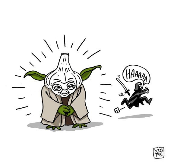Maître Yoda | Dessin Humour, Maitre Yoda Et Dessin De Presse pour Maitre Yoda Dessin