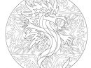 Mandala Dragon 5 Coloring Pages Printable encequiconcerne Coloriage Difficile Dragon