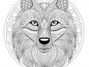 Mandala Tete Loup 2 - Mandalas - Coloriages Difficiles destiné Coloriage