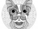 Mandala With Cute Dog Head And Geometric Patterns - M&amp;Alas pour Des Coloriage
