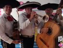 Mariachis - Musiciens Mexicains - Animart avec Musiciens Mexicains