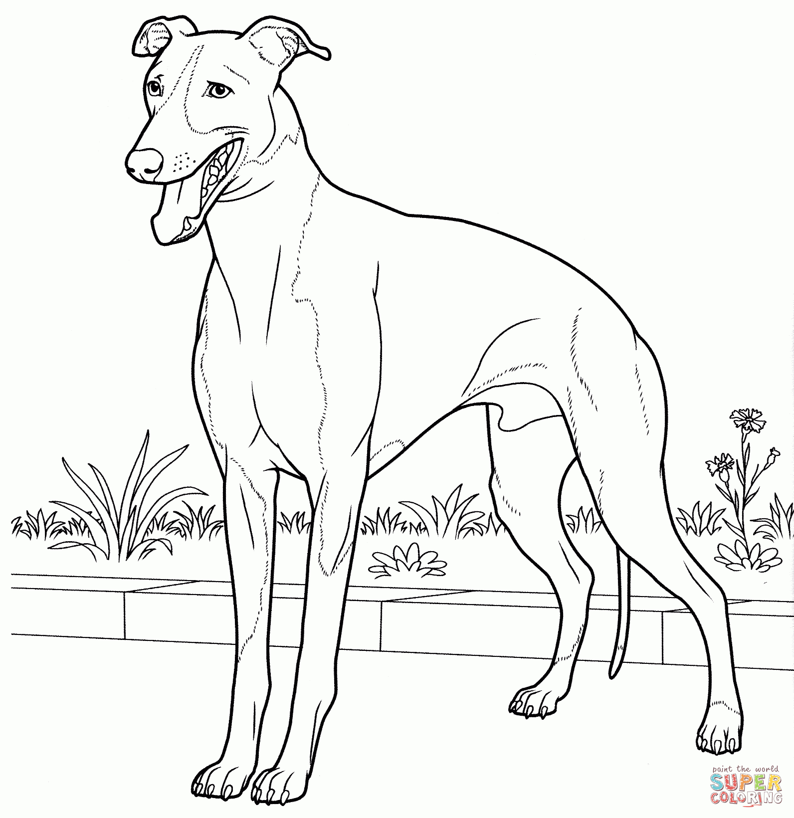 Meilleur De Dessin A Colorier De Chien Labrador dedans Coloriage Labrador A Imprimer